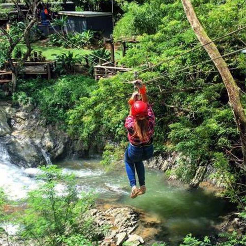 Zip Line